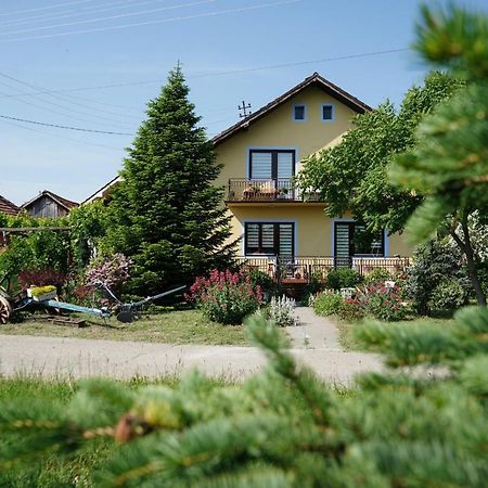 Etnobubi Apartment Novi Sip Bagian luar foto