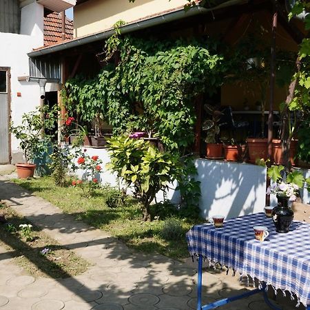 Etnobubi Apartment Novi Sip Bagian luar foto