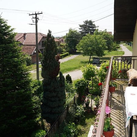 Etnobubi Apartment Novi Sip Bagian luar foto