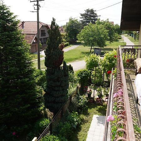 Etnobubi Apartment Novi Sip Bagian luar foto
