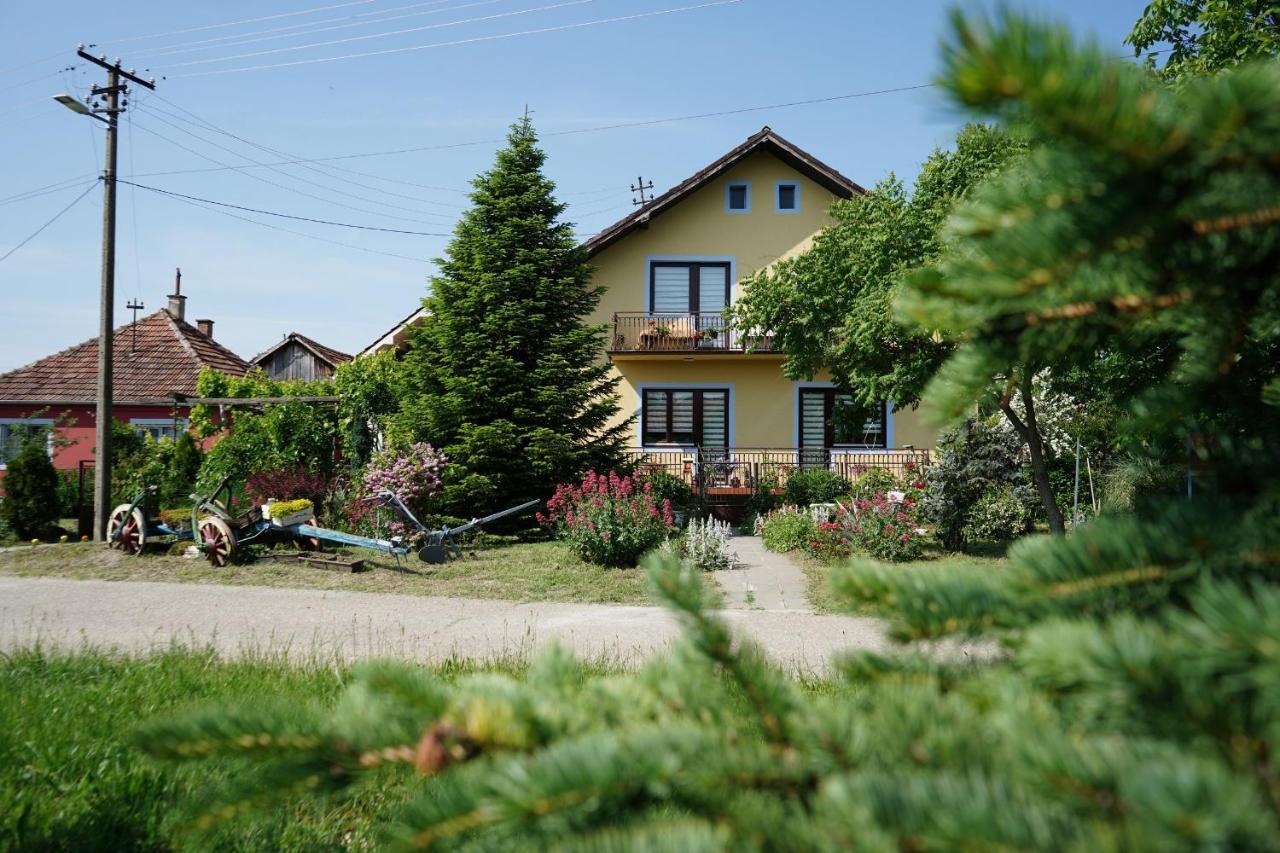 Etnobubi Apartment Novi Sip Bagian luar foto