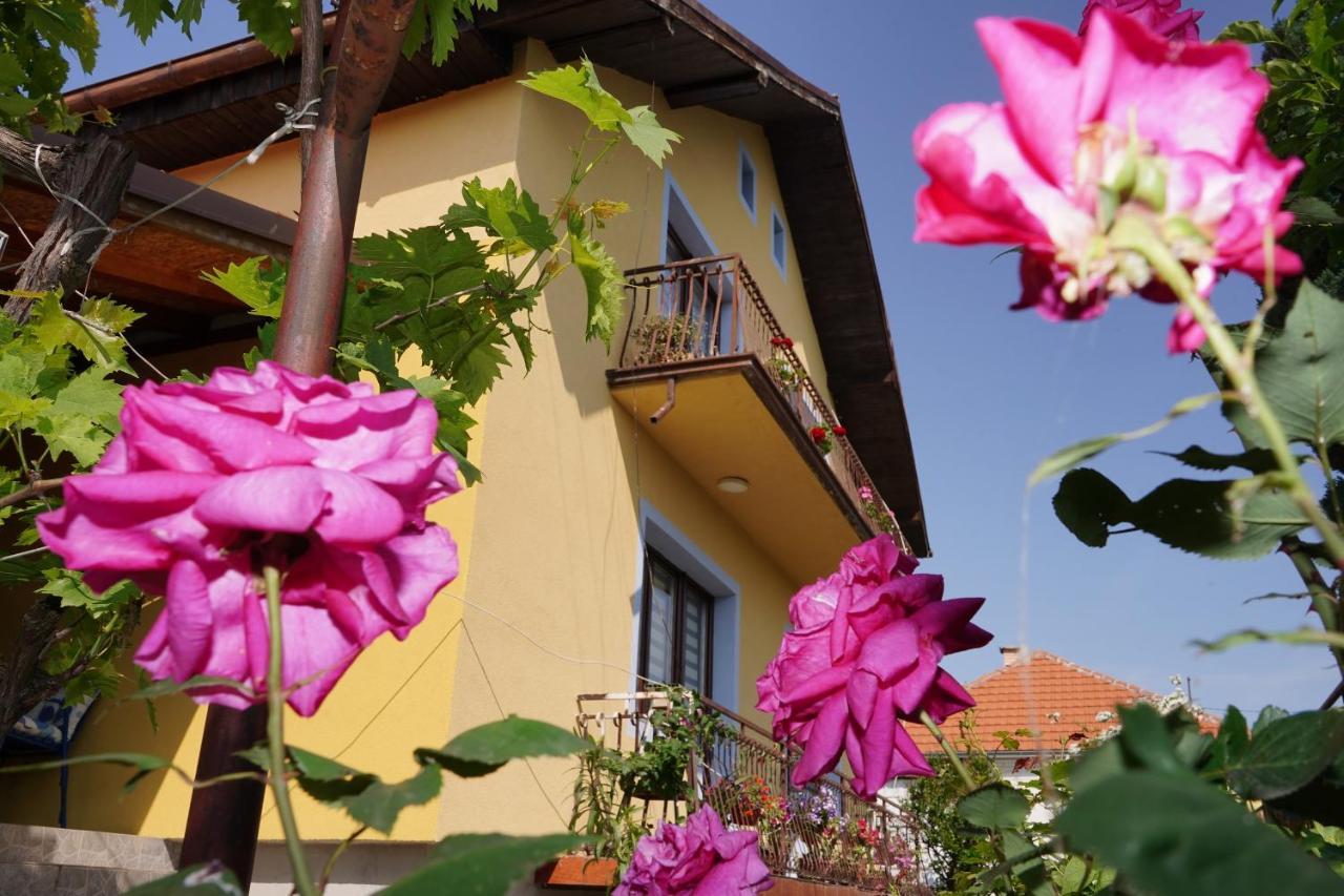 Etnobubi Apartment Novi Sip Bagian luar foto