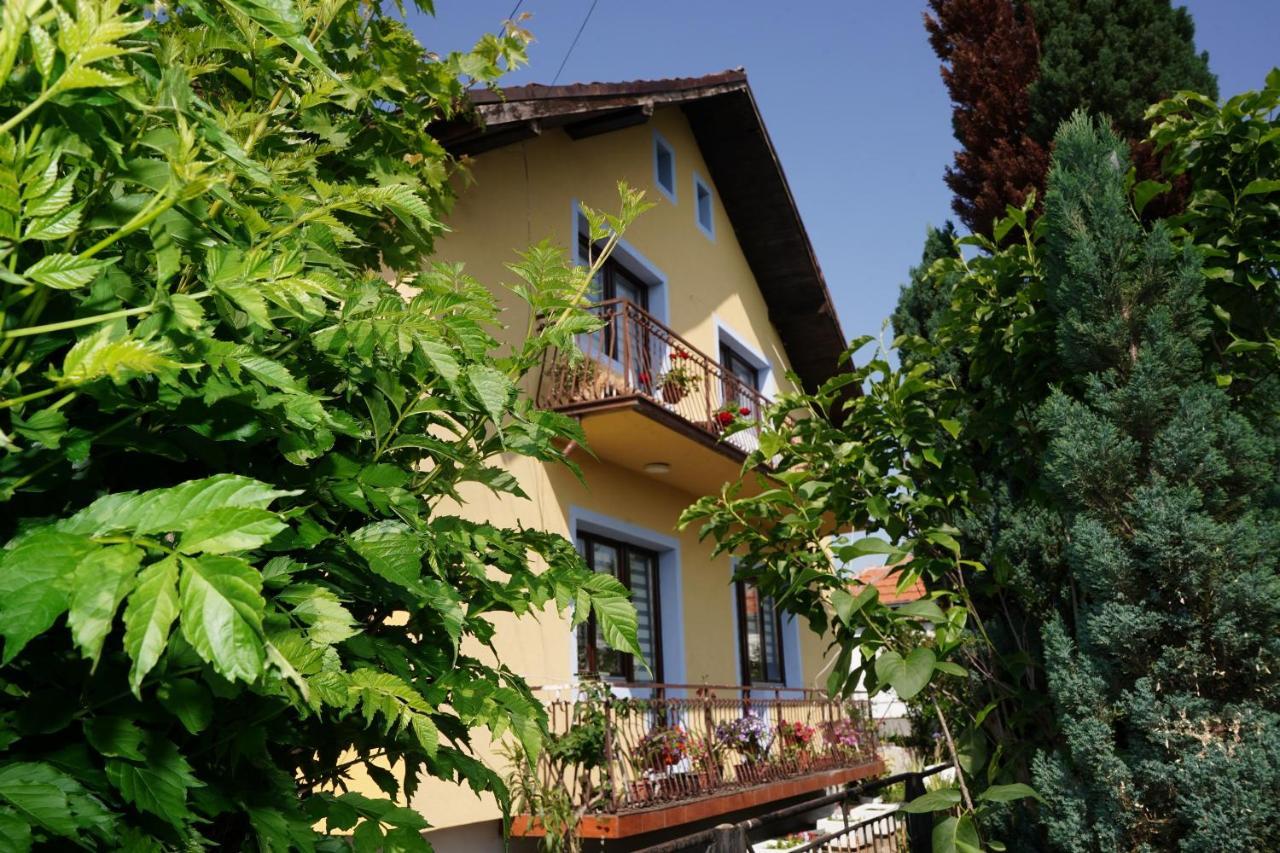 Etnobubi Apartment Novi Sip Bagian luar foto