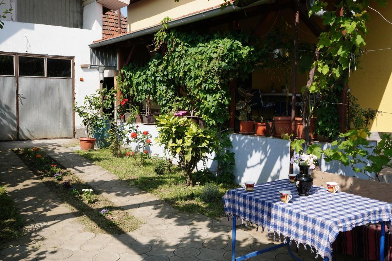 Etnobubi Apartment Novi Sip Bagian luar foto
