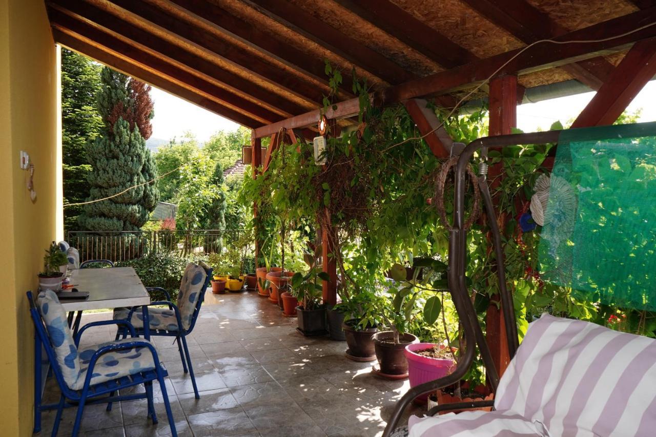 Etnobubi Apartment Novi Sip Bagian luar foto