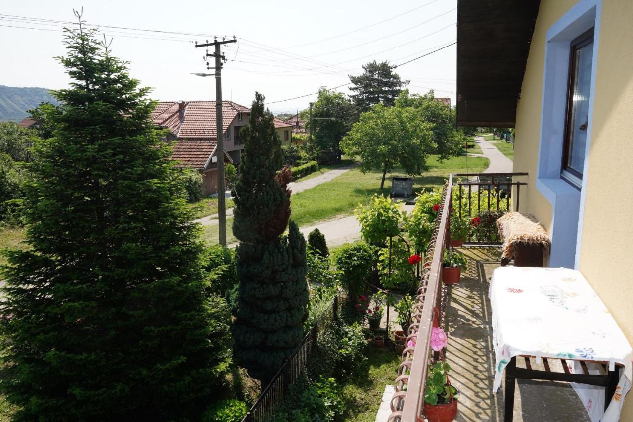 Etnobubi Apartment Novi Sip Bagian luar foto