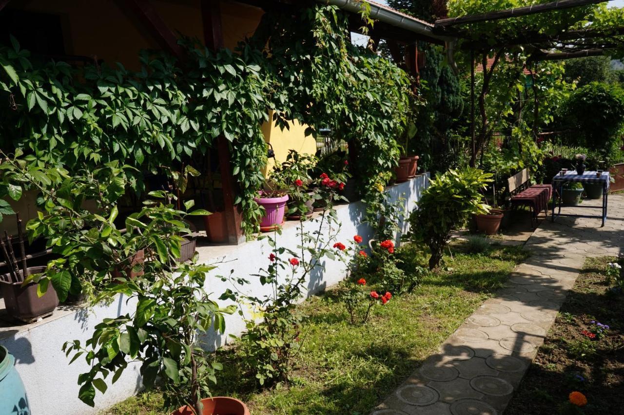 Etnobubi Apartment Novi Sip Bagian luar foto