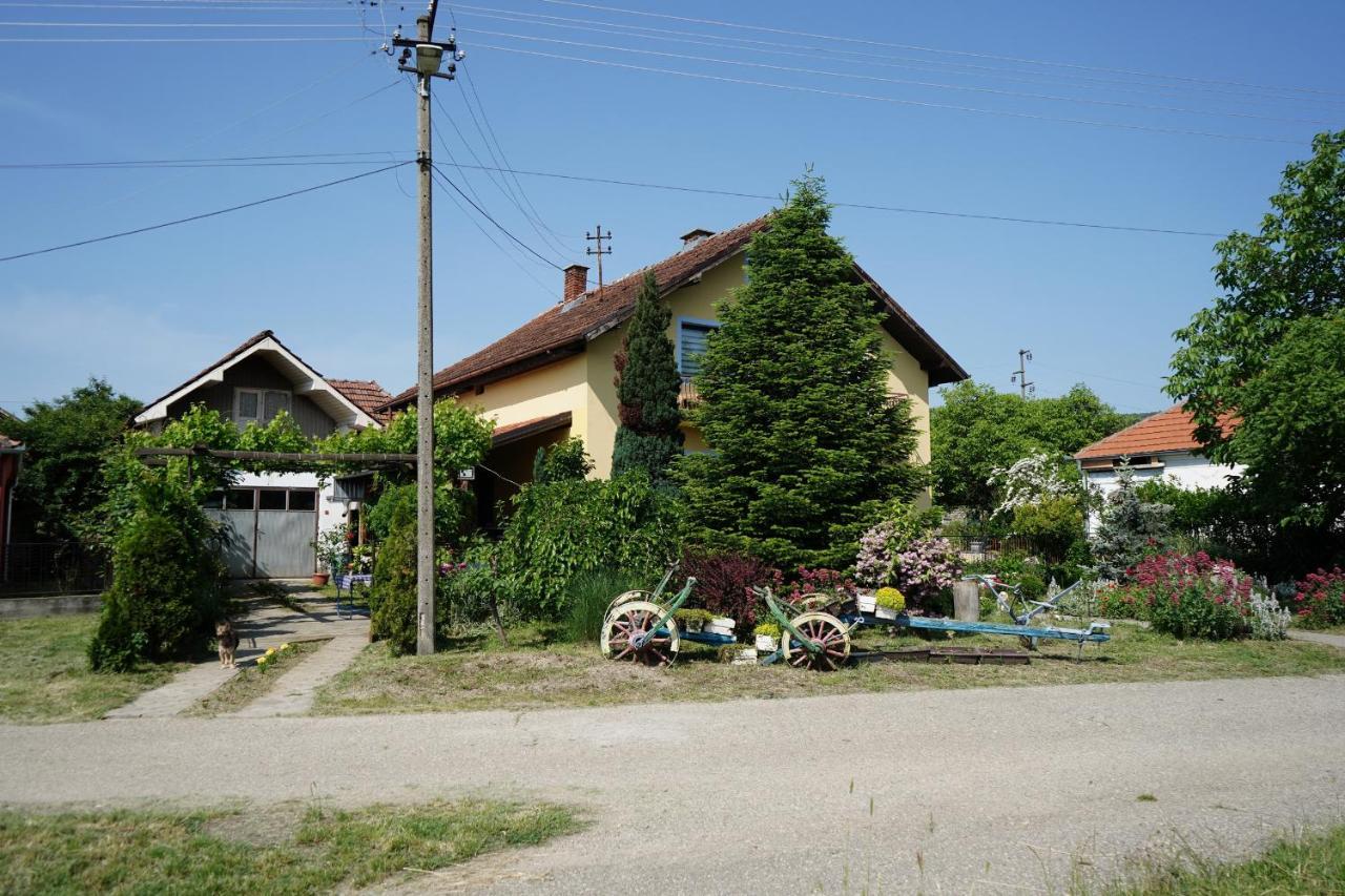 Etnobubi Apartment Novi Sip Bagian luar foto