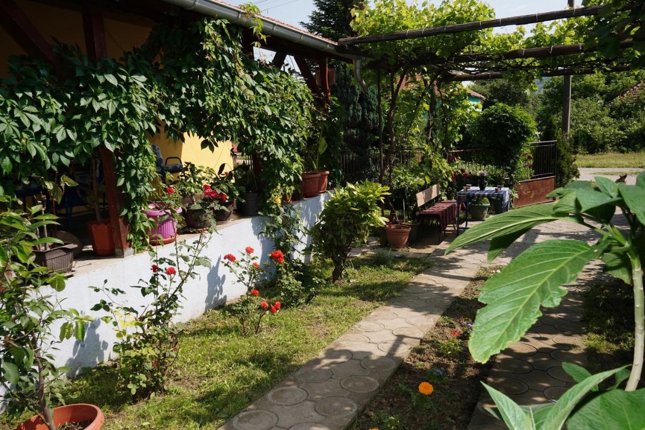 Etnobubi Apartment Novi Sip Bagian luar foto