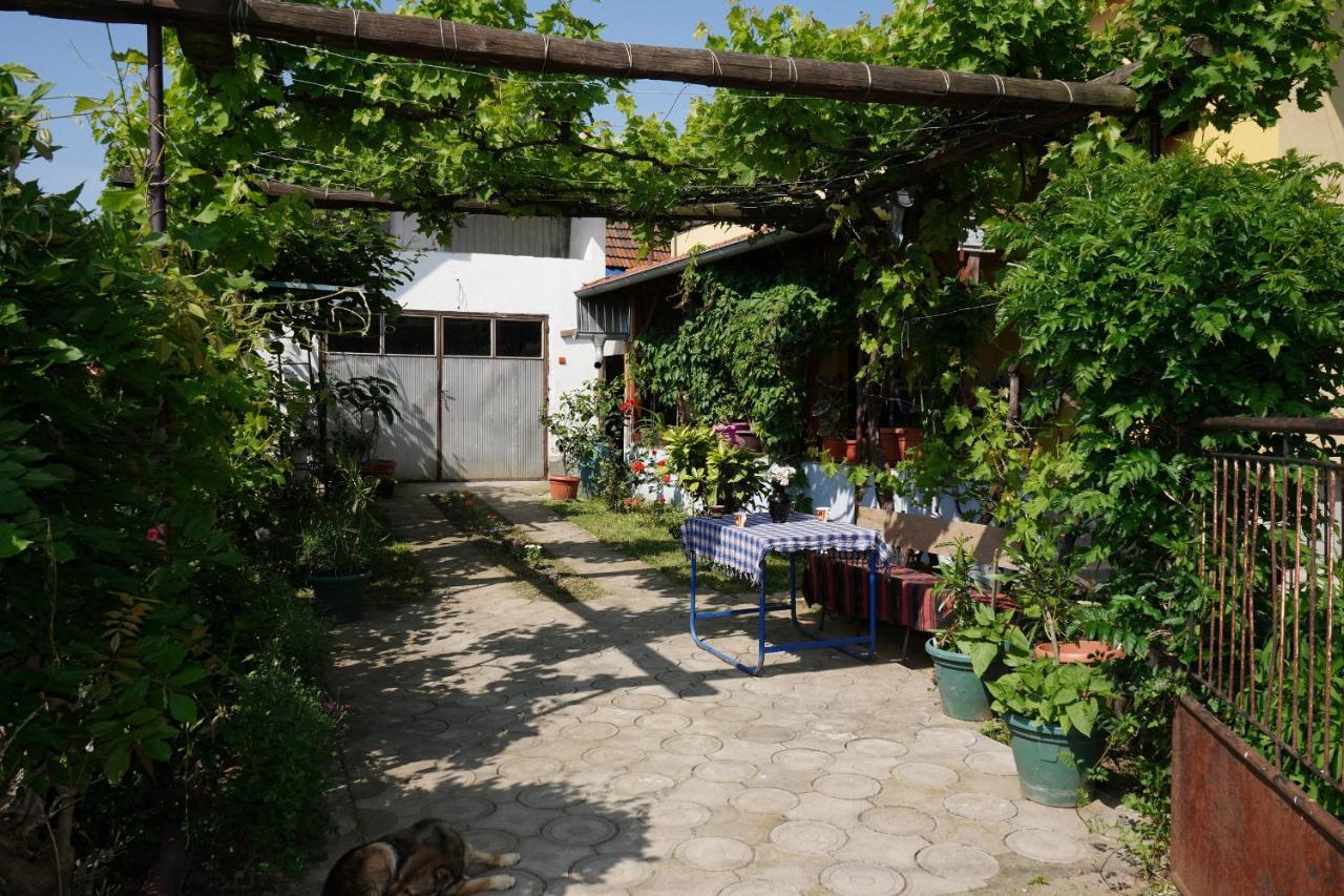 Etnobubi Apartment Novi Sip Bagian luar foto