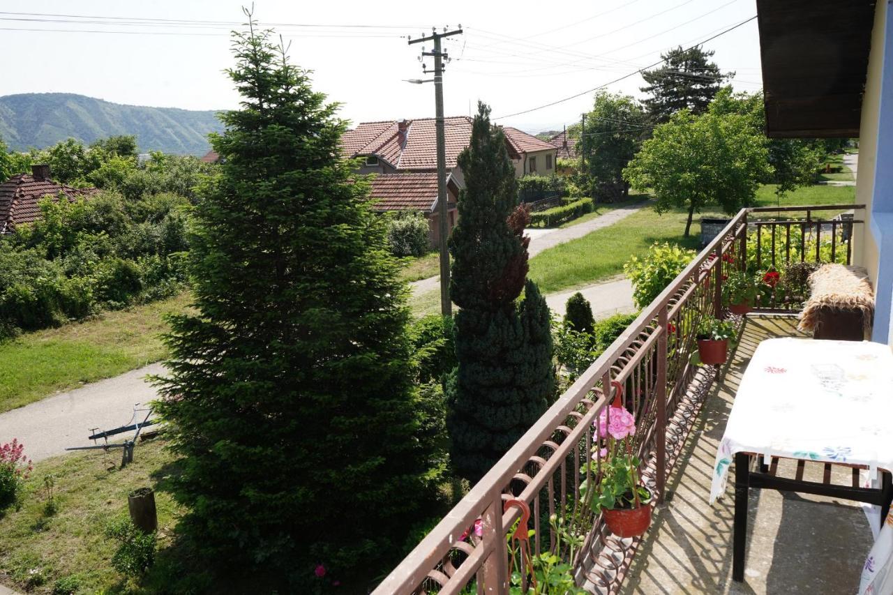 Etnobubi Apartment Novi Sip Bagian luar foto